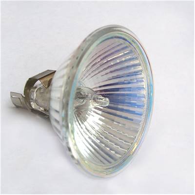 Halogen Light Bulb